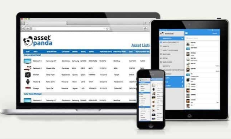 Webkorps Services agency's portfolio